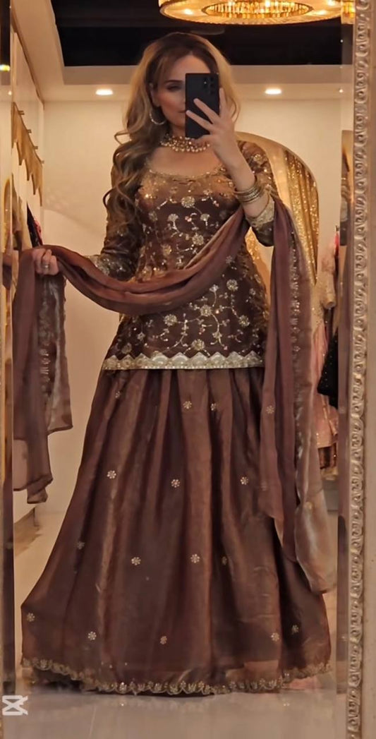 Elegant Mocha Velvet Embroidered Lehenga Set with Dupatta